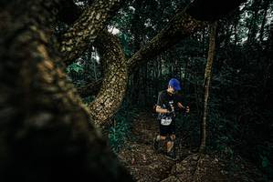 BIB: 
                            <button type="button" onclick="openModal(25693779)" class="btn btn-primary btn-sm float-right btn-popup" data-toggle="modal" data-target=".modal-high-quality">
                        <i class="fas fa-shopping-cart"></i> Add to Cart
                    </button>
                                            <button type="button" onclick="isThisMe(25693779, true)" class="btn btn-success btn-sm float-right btn-popup btn-isme hidden" data-toggle="tooltip" data-placement="bottom" title="นี่คือรูปของคุณใช่ไหม คลิกที่นี่เพื่อเอาเข้าอัลบั้ม">
                        <i class="fas fa-plus"></i> Add to album
                    </button>
                    <button type="button" onclick="isThisMe(25693779, false)" class="btn btn-warning btn-sm float-right btn-popup btn-isnotme hidden">
                        <i class="fas fa-ban"></i> Remove from album
                    </button>